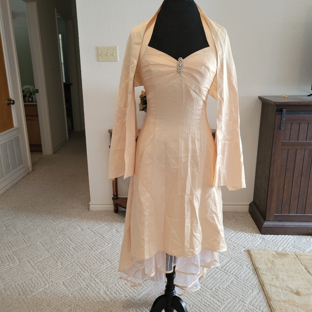 Cinderella Special Occasion Dress size M